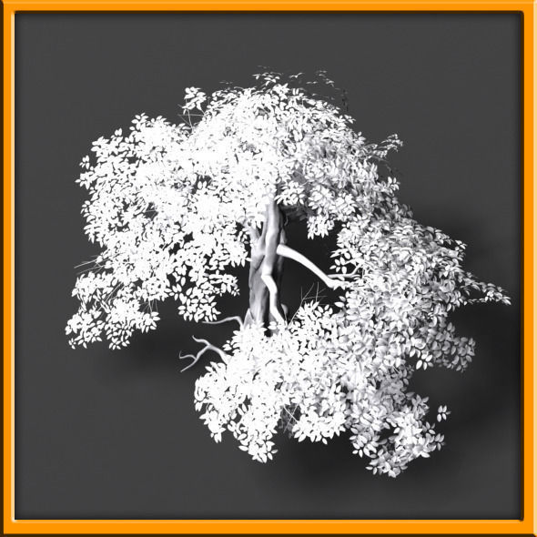 Tree - set 02  Low-poly 3D model_12