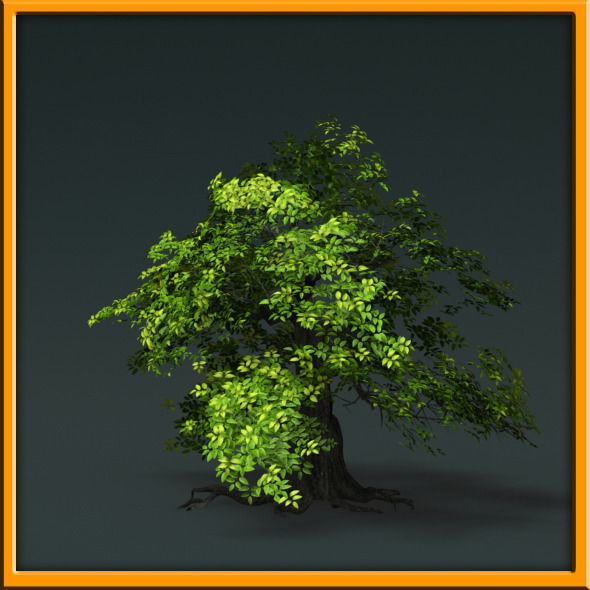 Tree - set 02  Low-poly 3D model_32