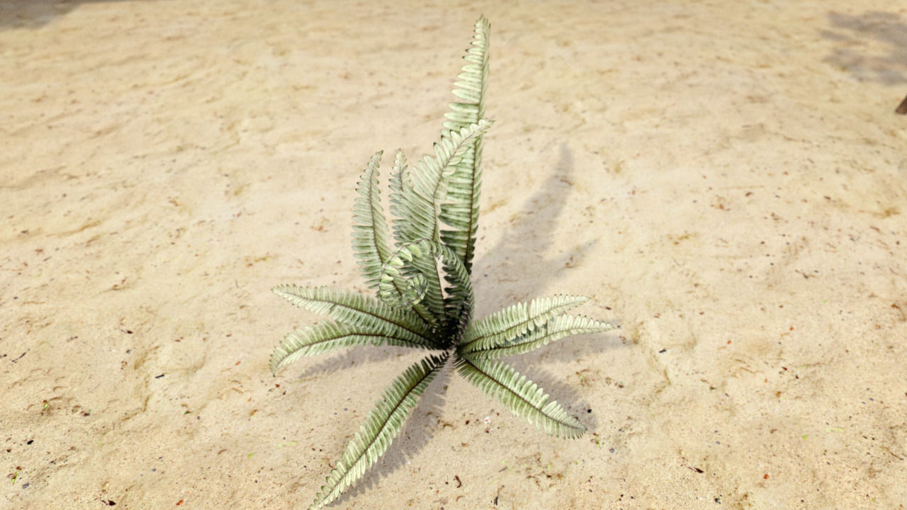 Plants Grass and Trees Pack Low-poly 3D model_2