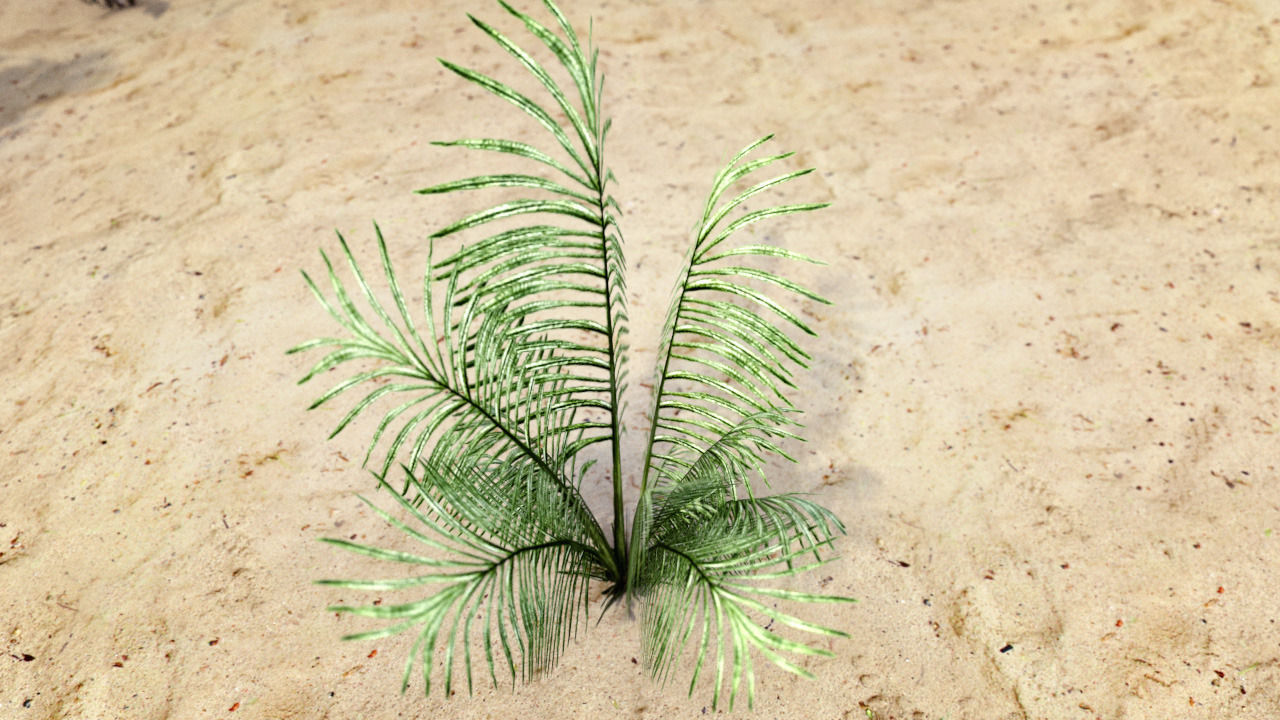 Plants Grass and Trees Pack Low-poly 3D model_3