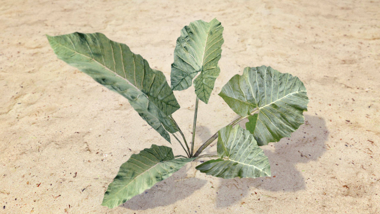 Plants Grass and Trees Pack Low-poly 3D model_1