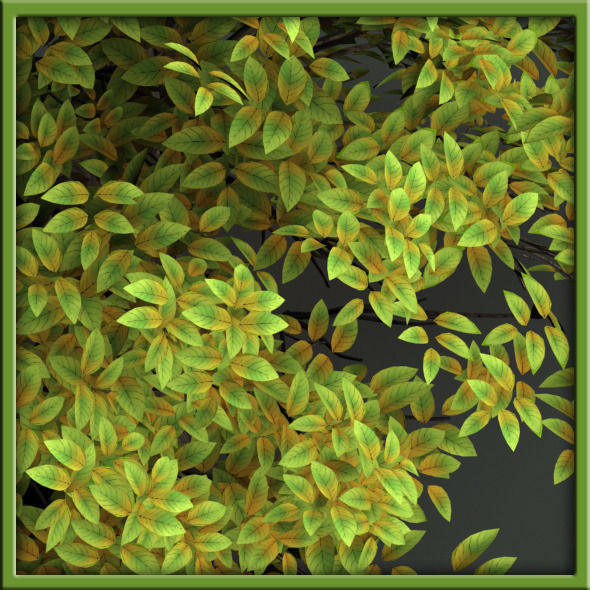 Tree - V03 3D model_4