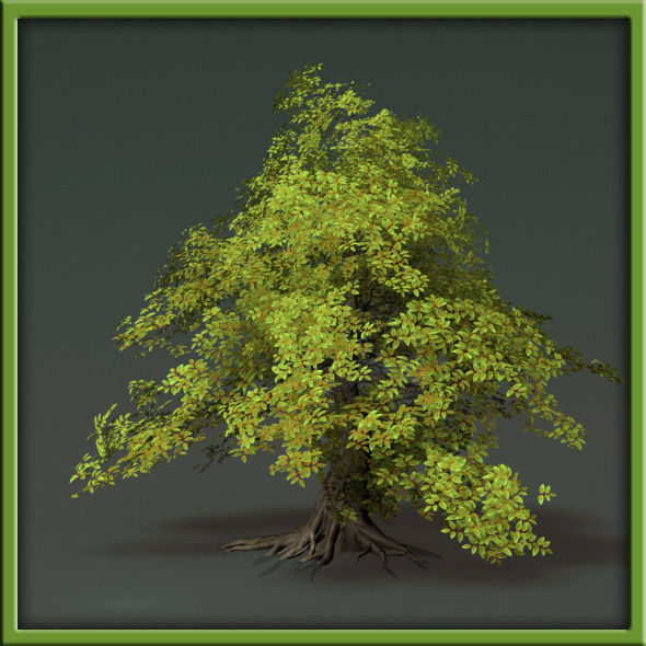 Tree - V03 3D model_35