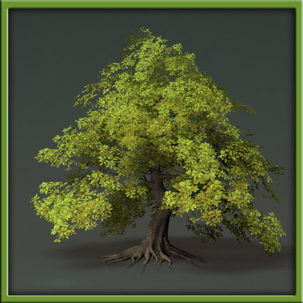 Tree - V03 3D model_14