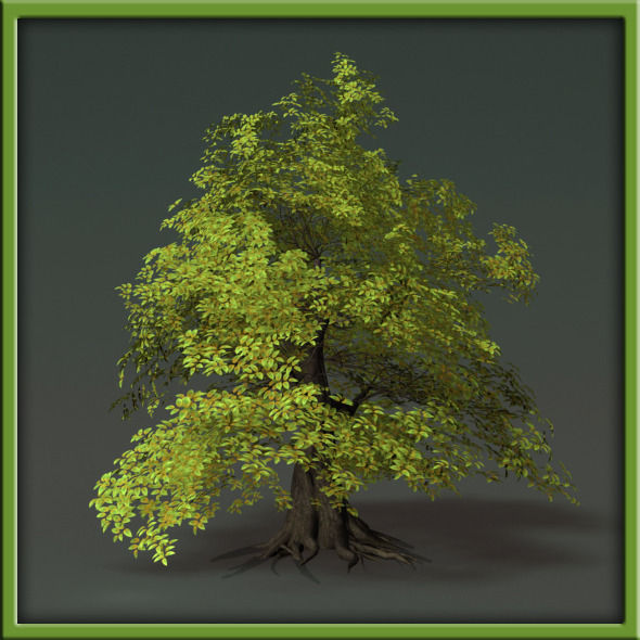 Tree - V03 3D model_21
