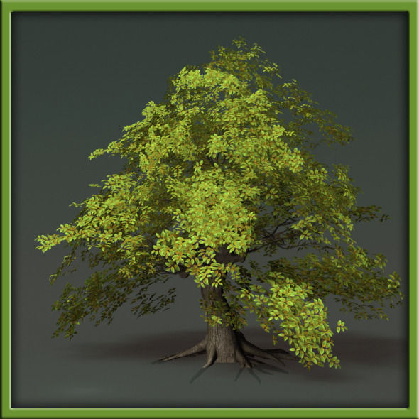 Tree - V03 3D model_26