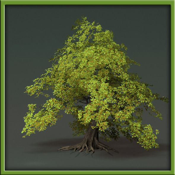 Tree - V03 3D model_12