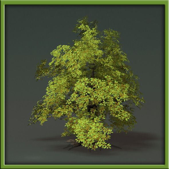 Tree - V03 3D model_33