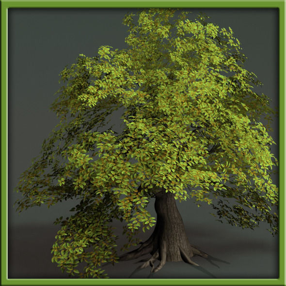 Tree - V03 3D model_6