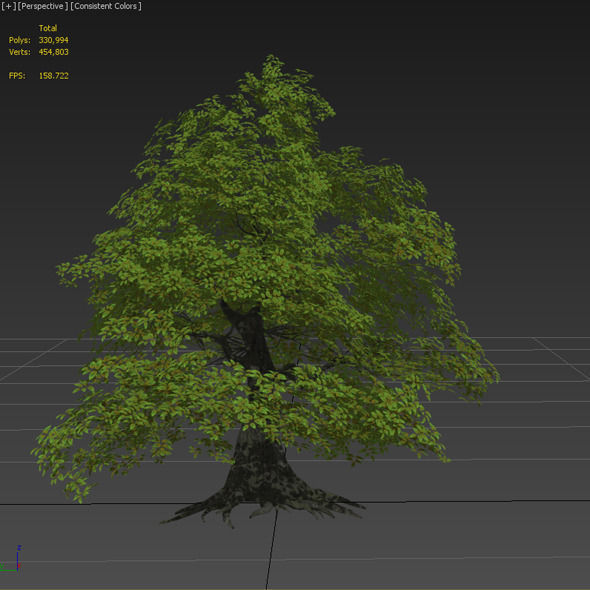 Tree - V03 3D model_11