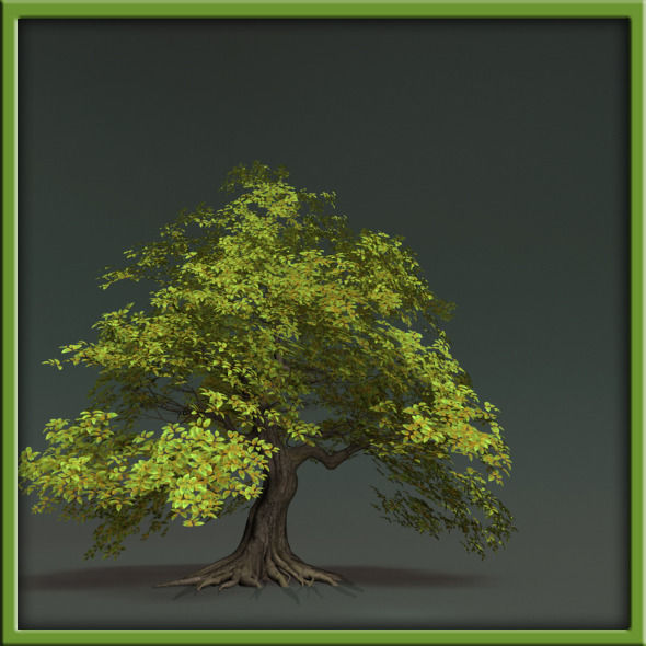 Tree - V03 3D model_2