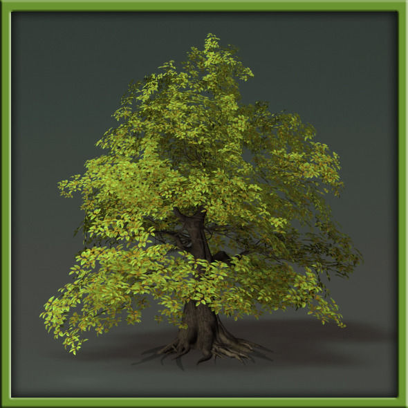 Tree - V03 3D model_20