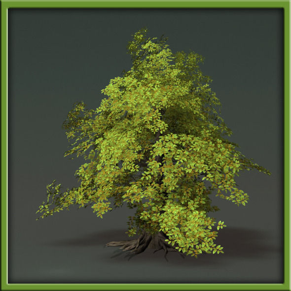 Tree - V03 3D model_34
