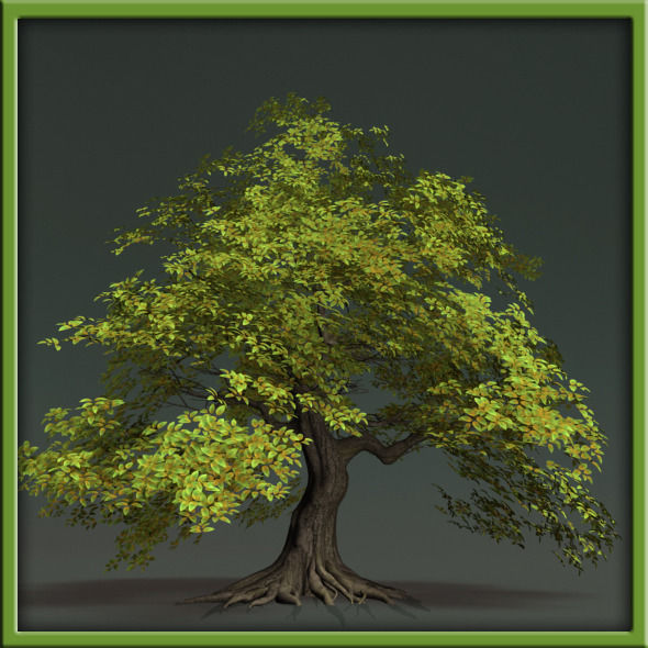 Tree - V03 3D model_1