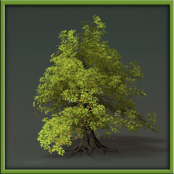 Tree - V03 3D model_22