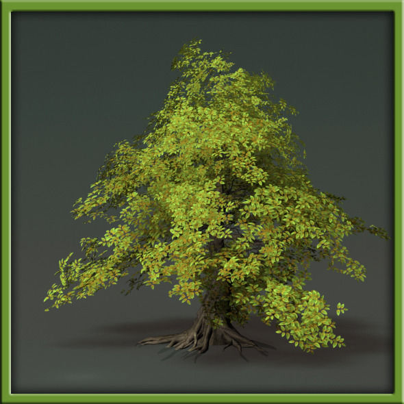 Tree - V03 3D model_13