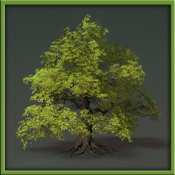 Tree - V03 3D model_19