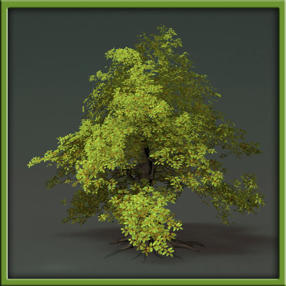 Tree - V03 3D model_24