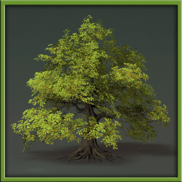 Tree - V03 3D model_18