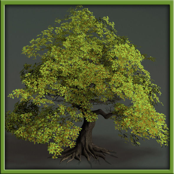 Tree - V03 3D model_8