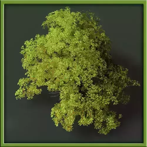 Tree - V03 3D model Tree - V03 3D model