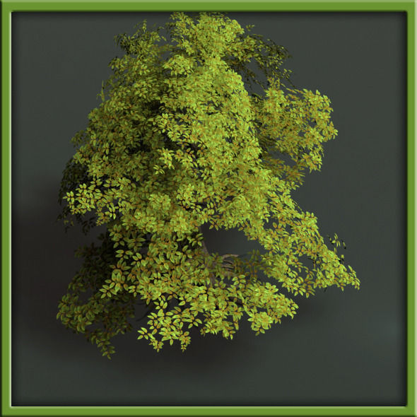 Tree - V03 3D model_3