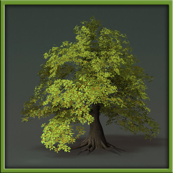 Tree - V03 3D model_31
