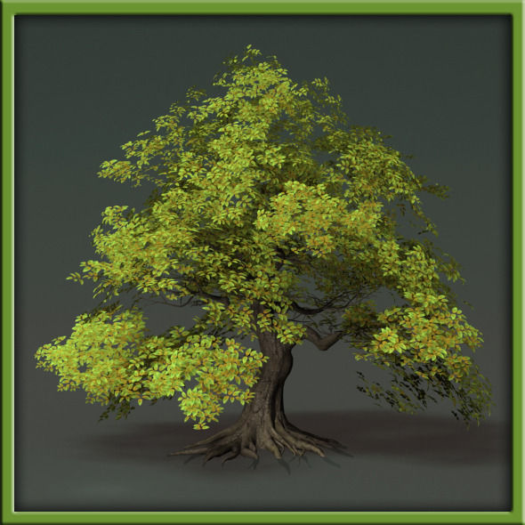 Tree - V03 3D model_16