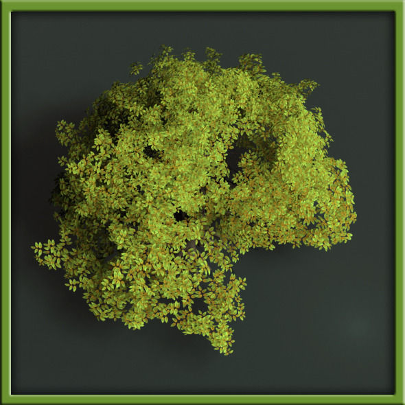Tree - V03 3D model_10