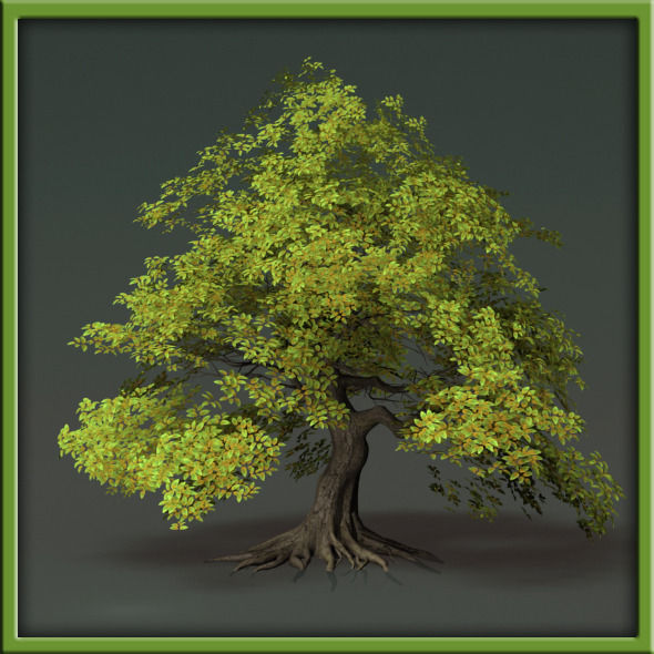 Tree - V03 3D model_15