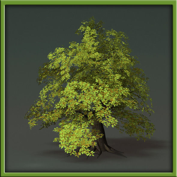 Tree - V03 3D model_32