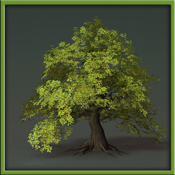 Tree - V03 3D model_30