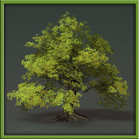 Tree - V03 3D model_17