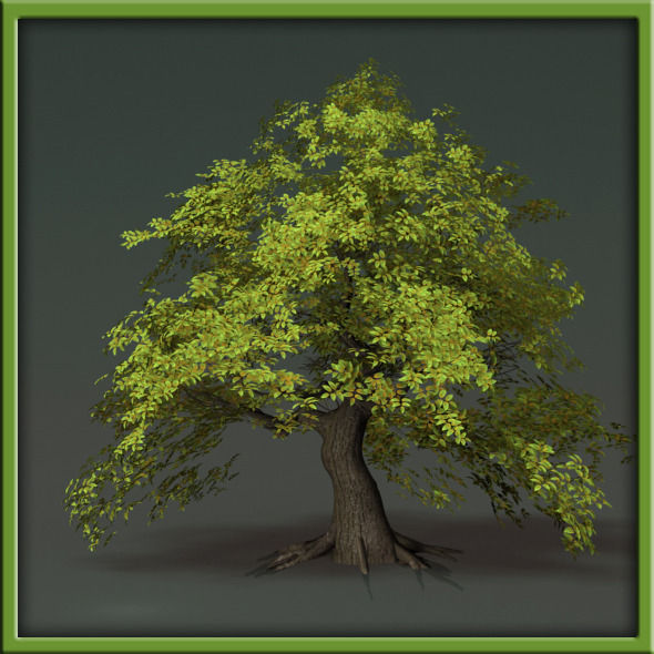 Tree - V03 3D model_28