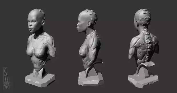 Female bust 3D print model