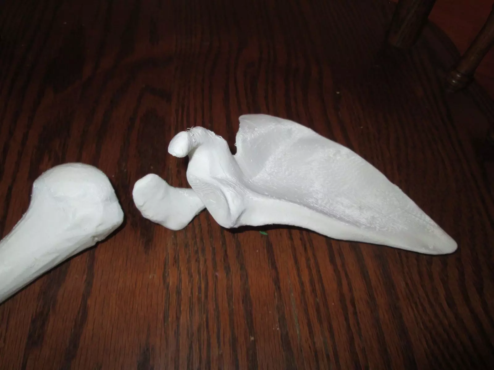 Shoulder Blade - Right Human Scapula Full Scale 3D print model_0