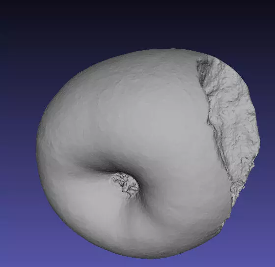 Bited apple 3D print model