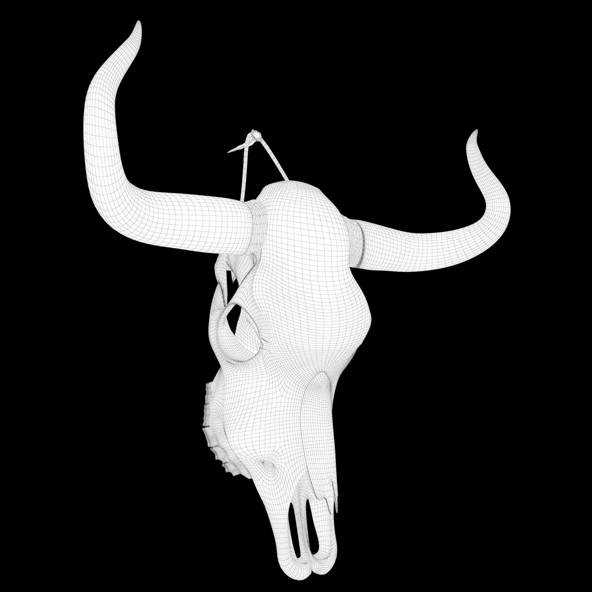 Cow skull 3D model_10