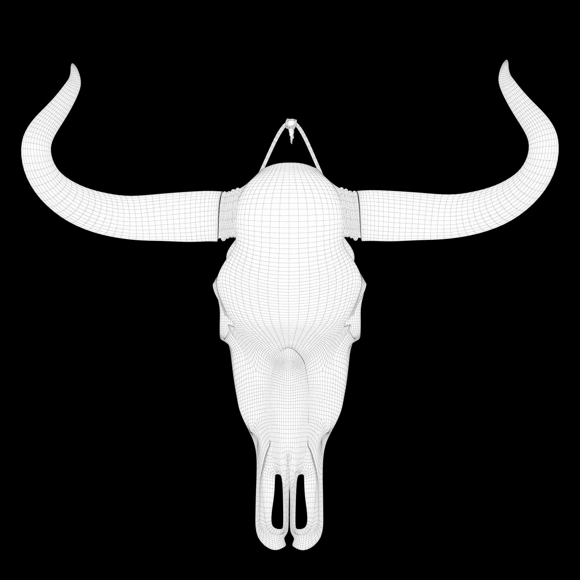 Cow skull 3D model_11