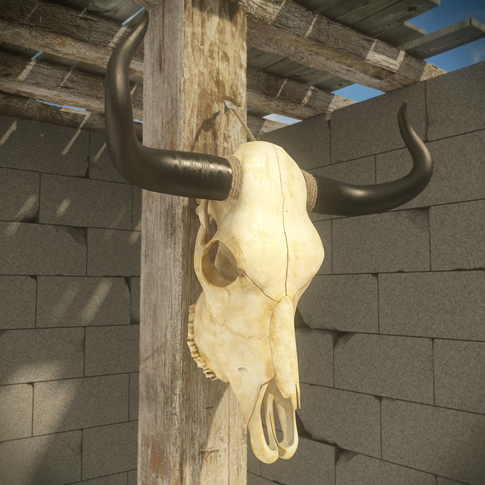 Cow skull 3D model_2