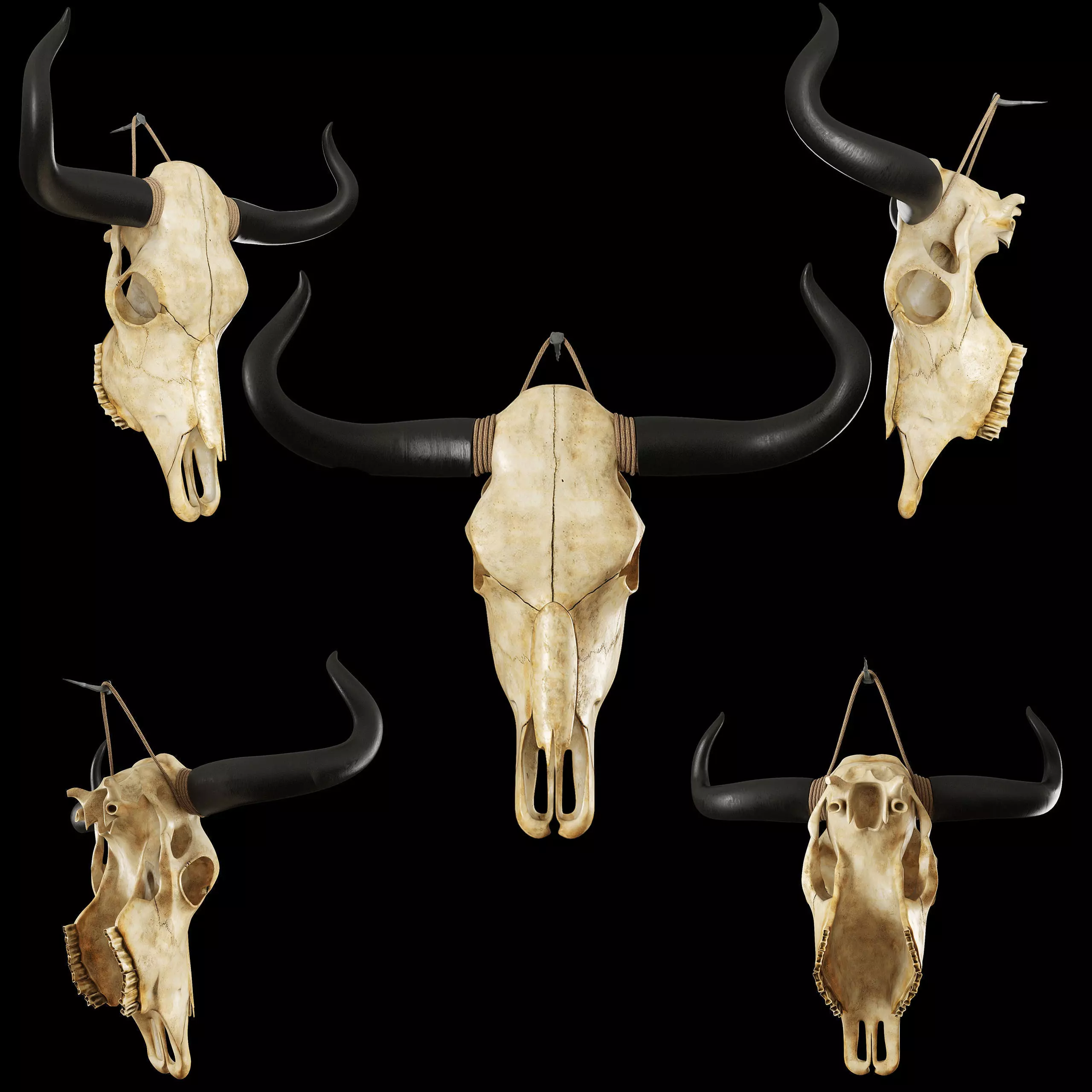 Cow skull 3D model_0