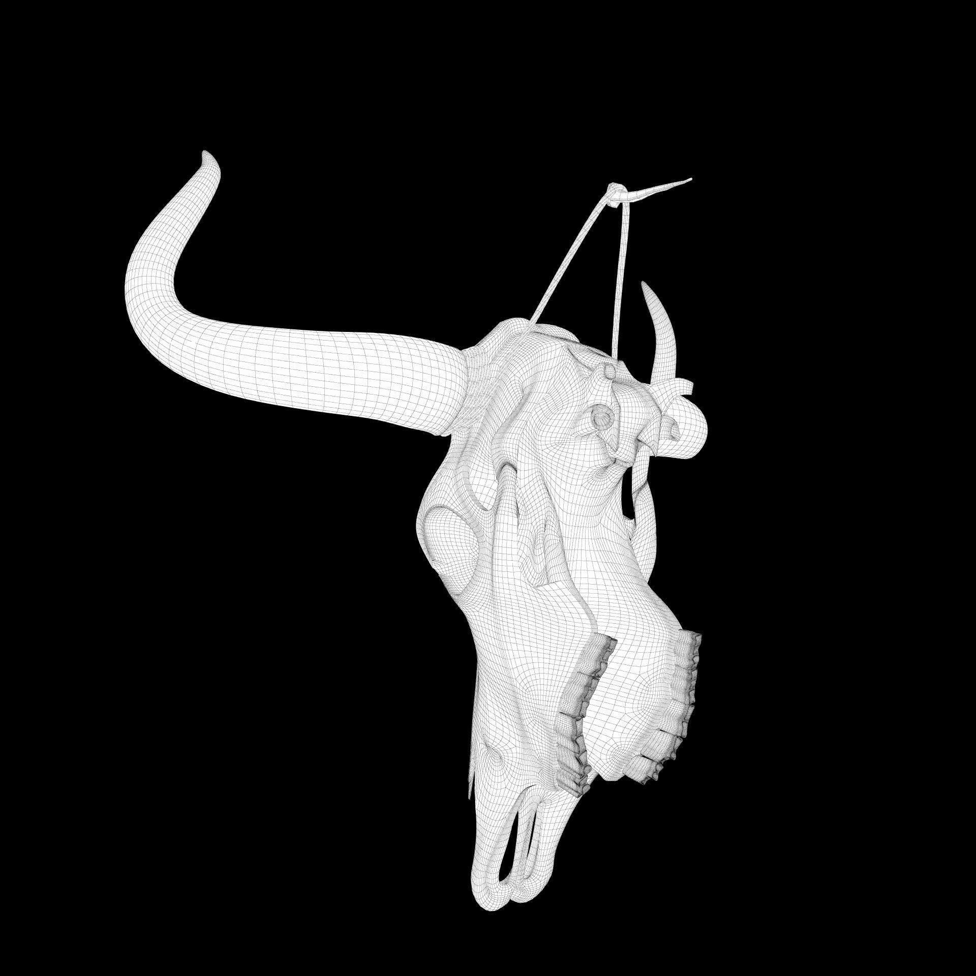 Cow skull 3D model_13