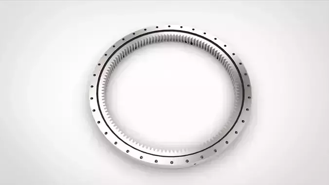 Slewing Bearing
