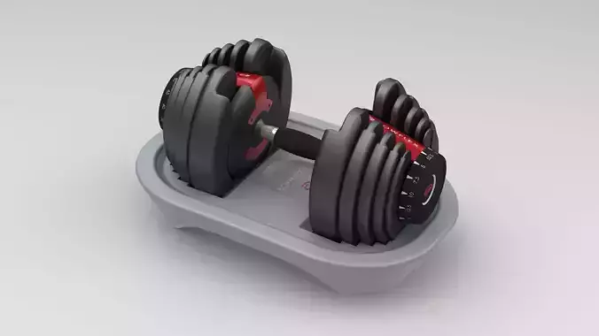 Bowflex Dumbbells 3D model