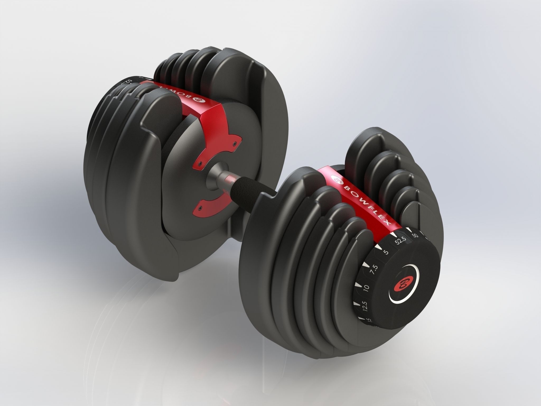 Bowflex Dumbbells 3D model_1