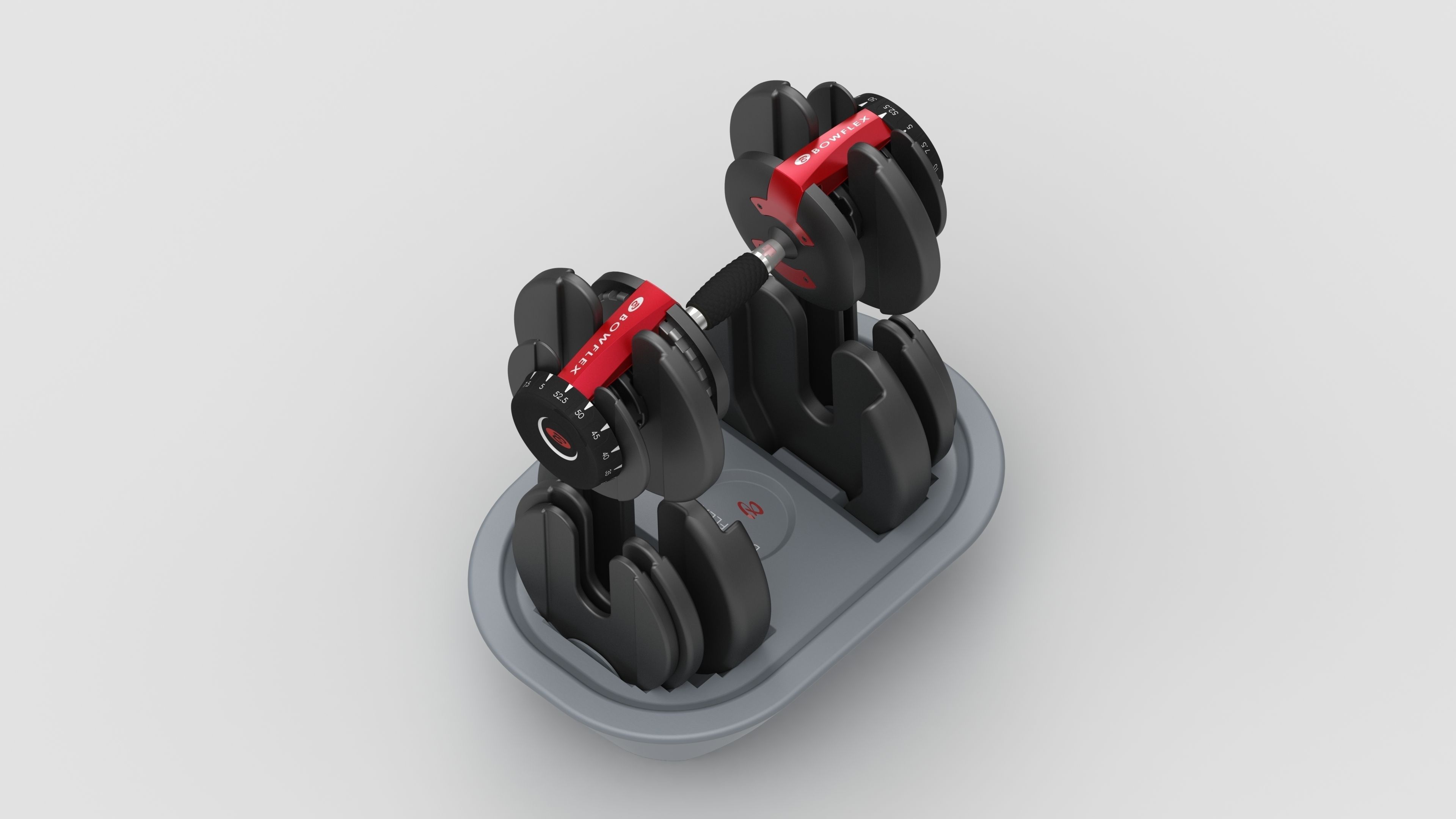 Bowflex Dumbbells 3D model_2