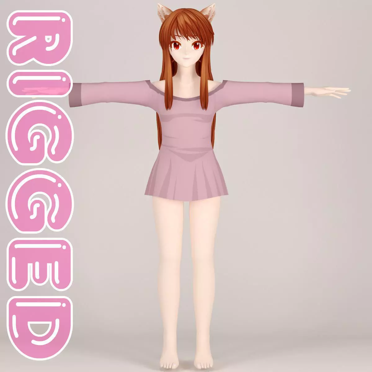 T pose rigged model of Horo 3D model