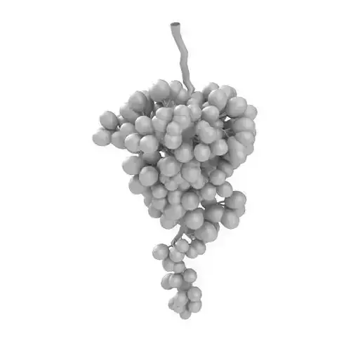 Grape branch