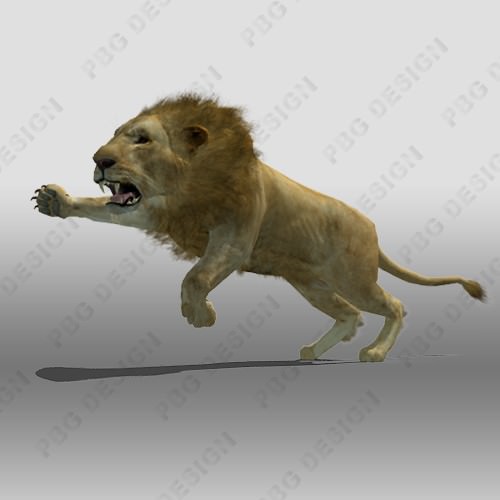 Lion Animated 3D model_6