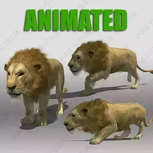 Lion Animated 3D model